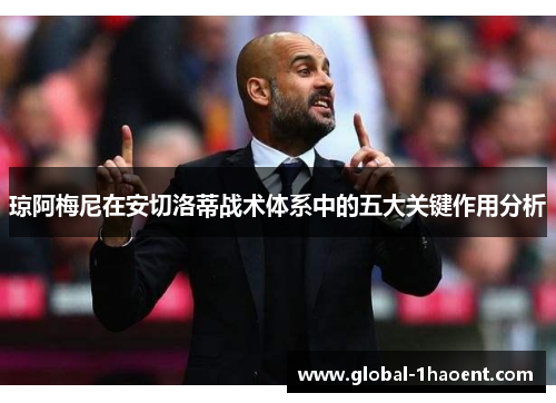 琼阿梅尼在安切洛蒂战术体系中的五大关键作用分析